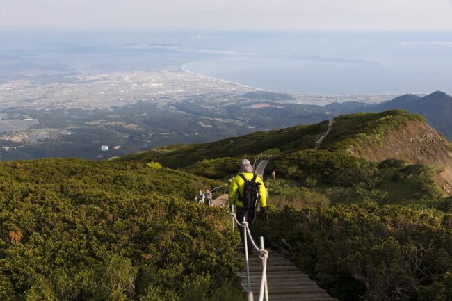 7537full_e314